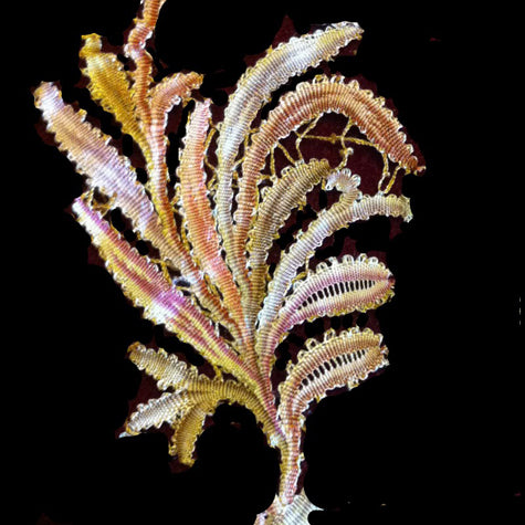 Register for Studies in Antique Lace (Oct-Nov)