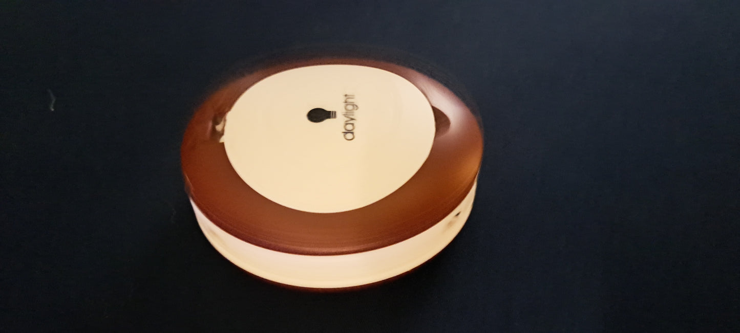 YoYo Lamp and Magnifier