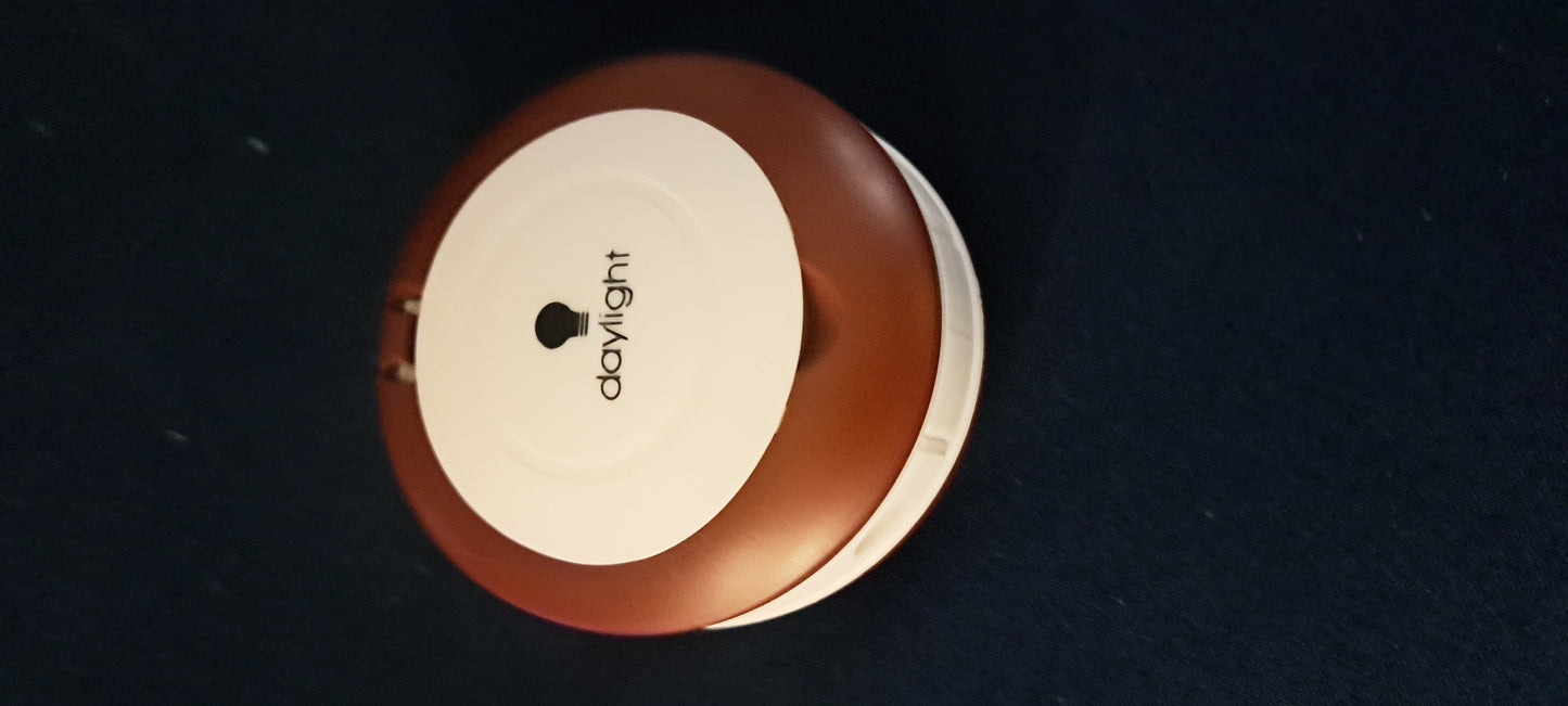 YoYo Lamp and Magnifier