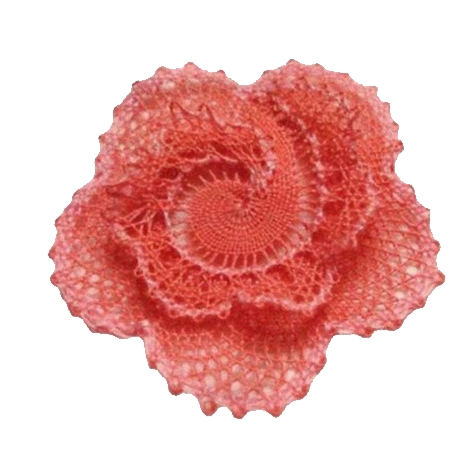 Rosalibre Spiral Rose Kit